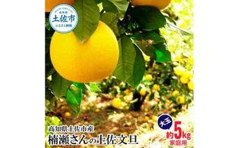 楠瀬さんの土佐文旦 家庭用大玉 約5kg 4L～2L