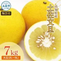 土佐文旦（ぶんたん）（大玉：２Ｌ～５Ｌ混合）約７ｋｇ  約10～15玉