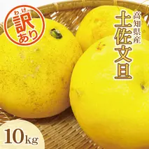 【訳あり】土佐文旦（ぶんたん）家庭用（M～５Ｌ）約１０ｋｇ  約10～30玉
