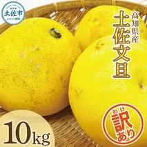 【訳あり】土佐文旦（ぶんたん）家庭用（M～５Ｌ）約１０ｋｇ  約10～30玉