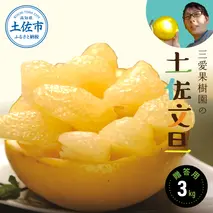 【先行予約：2025年2月5日から発送予定】文旦 三愛果樹園の土佐文旦 贈答用約3kg 