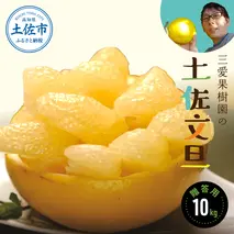 【先行予約】三愛果樹園の土佐文旦　贈答用約10kg　2月～3月発送