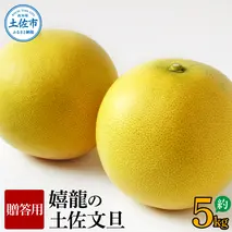 ＜2026年1月下旬より順次発送＞嬉龍の土佐文旦　贈答用　2～3Ｌサイズ　約5kg　減農薬