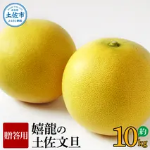 ＜2026年1月下旬より順次発送＞嬉龍の土佐文旦　贈答用　2～3Ｌサイズ　約10kg　減農薬 