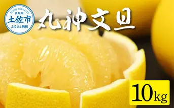 森田さん家の丸神（神谷）文旦（約10kg入り・2Lから5Lサイズ）