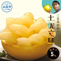 【訳あり】三愛果樹園の土佐文旦　約5kg 