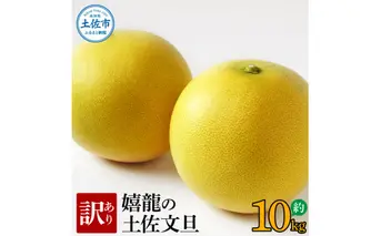 ＜2026年1月下旬より順次発送＞訳あり 嬉龍の土佐文旦 約10キロ L - ４Lサイズ 文旦 ぶんたん ブンタン 柑橘 フルーツ 果物 わけあり わけアリ 傷 シミ 美味しい 高知県産