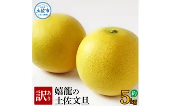 ＜2026年1月下旬より順次発送＞訳あり 嬉龍の土佐文旦 約5キロ L - ４Lサイズ 文旦 ぶんたん ブンタン 柑橘 フルーツ 果物 わけあり わけアリ 傷 シミ 美味しい 高知県産