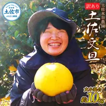 本場、高知県土佐市産！土佐水谷農園の露地土佐文旦 家庭用10キロ 10kg 大小混合（L - 上限なし：16玉前後） 訳あり 文旦 ぶんたん ブンタン 土佐文旦 ご自宅用 柑橘 フルーツ 果物 土佐 高知