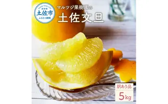 【先行予約】マルツジ果樹園の土佐文旦訳あり品（約5kg） 訳あり 8～11個 家庭用 傷 