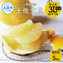 【先行予約受付】文旦 約5kg 土佐文旦 大玉 数量限定 3Lサイズ 8～9個