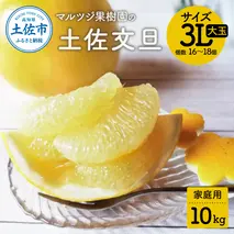 【先行予約受付】文旦 約10kg 大玉 家庭用 サイズ3L 16～18個 産 ご自宅用