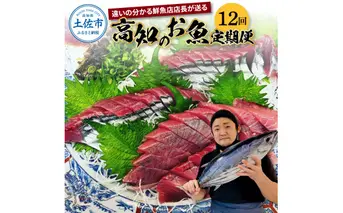 ＜12回定期便＞違いの分かる鮮魚店店長が送る 高知のお魚定期便！！お申込翌月より12回お届け 