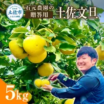 石元農園の土佐文旦　贈答用　約５キロ（７～１２玉） 期間限定 先行予約 