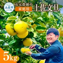 石元農園の土佐文旦 家庭用 約５キロ（７～１２玉） 期間限定 先行予約 