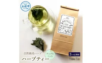 《3ヵ月定期便》ハーブ仁淀川産 自然栽培ハーブ アップルミント ハーブティー ティーバッグタイプ 7袋入り×2個セット