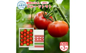 【定期便・全3回】 フルーツトマト （約800g）一箱12～20玉 先行予約 