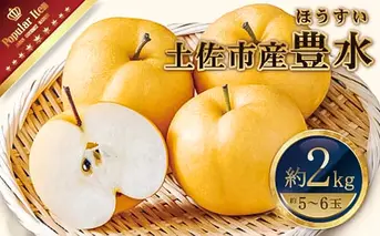 高知県土佐市産 梨（豊水）約2kg 5～6玉 期間限定 ほうすい なし ナシ 2キロ 国産 フルーツ 果物 くだもの デザート スイーツ 旬 甘い 果汁たっぷり ジューシー ギフト お取り寄せ