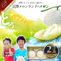 先行予約 メロン ２玉入り（1玉約1.4kg～1.8kg）青肉 2025年冬発送 期間限定 メロン めろん マスクメロン 舐瓜 果物 くだもの フルーツ デザート 旬 ハウス栽培 常温配送