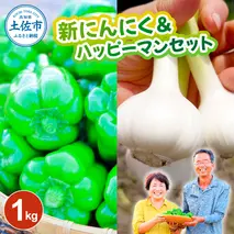 新にんにく＆ハッピーマンセット 約1キロ 約1kg ニンニク 新ニンニク ピーマン 野菜 やさい おかず 副菜 お弁当 新鮮 おいしい 採れたて 国産 お取り寄せ