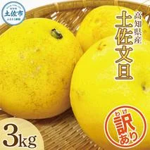 【訳あり】土佐文旦(ぶんたん) 家庭用(M～5L混合サイズ) 約3kg　株式会社とさもん（土佐市）厳選