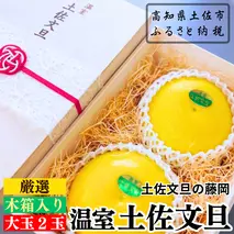 厳選 温室土佐文旦 贈答用木箱入り 大玉 2玉 約600g×2個 ぶんたん ブンタン フルーツ 柑橘 みかん 果物 くだもの 土佐文旦の藤岡 旬 プレゼント ギフト 贈答 贈り物 お歳暮