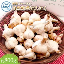 植田ファームの自然乾燥にんにく800g 800グラム ニンニク ガーリック おつまみ お酒 料理 醤油漬け ガーリックオイル ペペロンチーノ パスタ スパゲッティ ステーキ 無農薬 美味しい