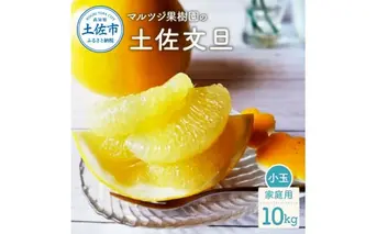 マルツジ果樹園の土佐文旦 家庭用(小玉) 約10kg 10キロ M～Lサイズ 24～34個入り ぶんたん ブンタン フルーツ 柑橘 みかん 果物 くだもの 柑橘類 デザート お取り寄せ 国産