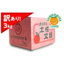 三宮果樹園の土佐文旦 訳あり 3kg ぶんたん ブンタン 3キロ 6玉前後 フルーツ 柑橘 みかん 果物 くだもの 柑橘類 デザート ご自宅用 ご家庭用 自分用 お取り寄せ わけあり 国産