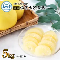 ＜土佐文旦の藤岡＞先行予約　厳選 温室土佐文旦 5kg (7～8玉）文旦 ぶんたん ブンタン 土佐文旦 ハウス栽培 甘い  柑橘 フルーツ 果物 ご当地 お取り寄せ