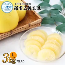 温室土佐文旦 3kg 7玉入り Lサイズ ぶんたん ブンタン 3キロ 小玉 フルーツ 柑橘 みかん 果物 くだもの 柑橘類 文旦 デザート お取り寄せ おいしい 土佐文旦の藤岡 食品 国産
