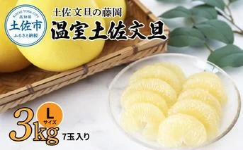 [先行予約]温室土佐文旦 3kg(7玉入り・Lサイズ)[2026年11月下旬から発送]/ぶんたん ブンタン 3キロ 小玉 フルーツ 柑橘 みかん 果物 くだもの 柑橘類 文旦 デザート お取り寄せ おいしい 土佐文旦の藤岡[土佐文旦の藤岡] [BQBJ004]