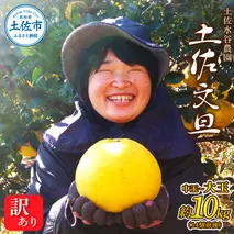 本場、高知県土佐市産！土佐水谷農園の露地土佐文旦 家庭用10キロ 10kg 中玉～大玉（3L～上限なし：14玉前後）皮むき器付き 訳あり 文旦 ぶんたん ブンタン 土佐文旦 ご自宅用 柑橘 フルーツ 果物 土佐 高知