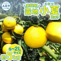 露地小夏 約5kg 小夏 訳あり 家庭用 S～2Lサイズ こなつ 糖度13度以上 5キロ フルーツ 果物 デザート 柑橘 お取り寄せ おいしい 美味しい 減農薬 ご自宅用