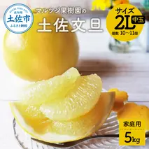 【先行予約】マルツジ果樹園の土佐文旦 家庭用(中玉) 約5kg 5キロ 2Lサイズ 10～11個入り ぶんたん ブンタン フルーツ 柑橘 みかん 果物 くだもの 柑橘類 デザート お取り寄せ 国産