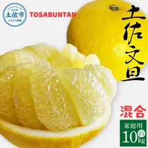 ＜2026年1月下旬より順次発送＞土佐文旦 家庭用 10kg 17～24玉入り L～3Lサイズ混合 先行予約 文旦 ぶんたん ブンタン 柑橘 フルーツ デザート 果物 ご当地 人気 名産 お取り寄せ 土佐 高知 土佐市