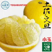 ＜2026年1月下旬より順次発送＞土佐文旦 小玉 家庭用 3kg 7～9玉入り M～Lサイズ 先行予約 文旦 ぶんたん ブンタン 柑橘 フルーツ デザート 果物 ご当地 人気 名産 お取り寄せ 土佐 高知 土佐市