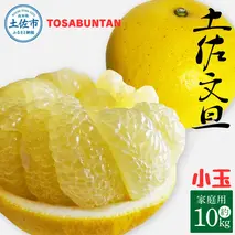 ＜2026年1月下旬より順次発送＞土佐文旦 小玉 家庭用 10kg 23～29玉入り M～Lサイズ 先行予約 文旦 ぶんたん ブンタン 柑橘 フルーツ デザート 果物 ご当地 人気 名産 お取り寄せ 土佐 高知 土佐市