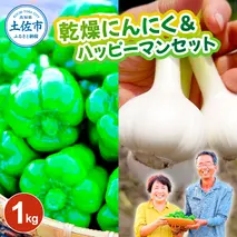 乾燥にんにく＆ハッピーマンセット 約1キロ 約1kg ニンニク 自然乾燥にんにく ピーマン 野菜 やさい おかず 副菜 お弁当 新鮮 おいしい 採れたて 国産 お取り寄せ 常温 冷蔵 高知県 土佐市