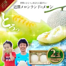先行予約 メロン ２玉入り（1玉約1.4kg～1.8kg）青肉 2026年夏発送 期間限定 メロン めろん マスクメロン 舐瓜 果物 くだもの フルーツ デザート 旬 ハウス栽培 常温配送