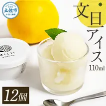 文旦アイス 12個入り 1個110ml ブンタン ぶんたん フルーツ 果物 柑橘 みかん お菓子 おかし おやつ デザート スイーツ ギフト おいしい 爽やか シャーベット お取り寄せ 冷凍 配送