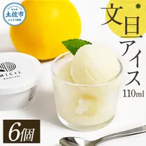 文旦アイス 6個入り 1個110ml ブンタン ぶんたん フルーツ 果物 柑橘 みかん お菓子 おかし おやつ デザート スイーツ ギフト おいしい 爽やか シャーベット お取り寄せ 冷凍 配送