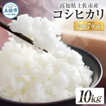 コシヒカリ 令和7年産 10kg 10キロ 精米 白米 お米 ご飯 ごはん 米 kome こめ こしひかり 高知県産 国産 お取り寄せ 常温 高知県 高知 土佐市