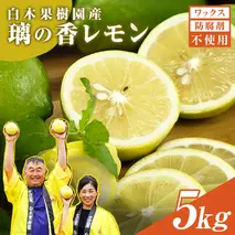 レモン 約5kg 12～25個 璃の香レモン 果物 くだもの 柑橘 フルーツ れもん お取り寄せ 産地直送 おいしい 美味しい 白木果樹園 常温 配送 高知県 高知 土佐市