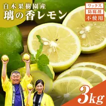 レモン 約3kg 8～15個 璃の香レモン 果物 くだもの 柑橘 フルーツ れもん お取り寄せ 産地直送 おいしい 美味しい 白木果樹園 常温 配送 高知県 高知 土佐市