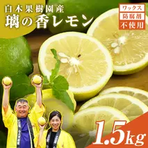 レモン 約1.5kg 4～7個 璃の香レモン 果物 くだもの 柑橘 フルーツ れもん お取り寄せ 産地直送 おいしい 美味しい 白木果樹園 常温 配送 高知県 高知 土佐市