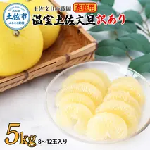 ＜土佐文旦の藤岡＞訳あり 温室土佐文旦 家庭用 5kg (8～12玉）文旦 ぶんたん ブンタン 土佐文旦 ハウス栽培 甘い 柑橘 フルーツ 果物 ご当地 産地直送 お取り寄せ 5キロ 自分用 土佐 高知