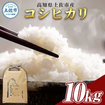 コシヒカリ 10kg 10キロ 精米 白米 お米 ご飯 ごはん 米 kome こめ こしひかり 高知県産 国産 お取り寄せ 常温 高知県 高知 土佐市