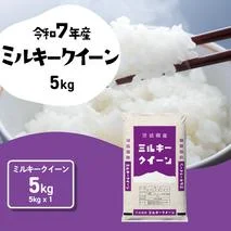 【スピード発送】ミルキークイーン 5kg (5kgx1袋) 令和7年産 茨城県産 ミルキークイーン 白米 精米 茨城県 八千代町 お米 米 [SF579yai]