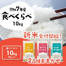 【12月発送】2品種 食べ比べ 10kg  (5kgx2袋) 令和7年産 茨城県産 コシヒカリ にじのきらめき 白米 精米 茨城県 八千代町 お米 米 [SF555yai]